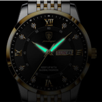 Montre de luxe POEDAGAR